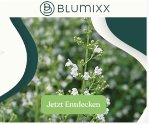 Blumixx bietet die einfachste Balkonbepflanzung der Welt. Bestelle den Blumixx-Bag, erspare dir den Baumarkt und genieße deinen blühenden Balkon ohne Aufwand.